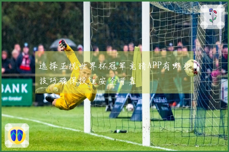 选择正规世界杯冠军竞猜APP有哪些技巧确保投注安全可靠