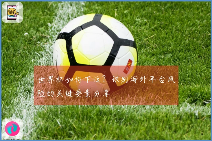 世界杯如何下注？识别海外平台风险的关键要素分享
