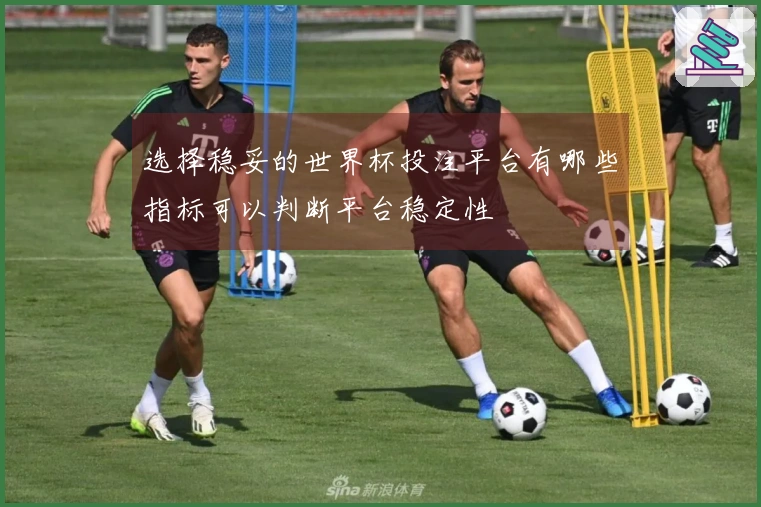 选择稳妥的世界杯投注平台有哪些指标可以判断平台稳定性